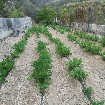 Casita Rural Y Casa Cueva El Perucho Casa de Férias