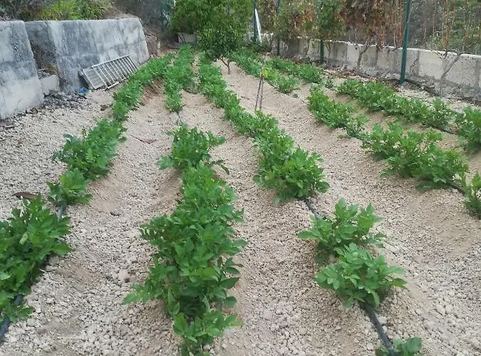 Casa Cueva Y Casita Rural El Perucho Prázdninový dům