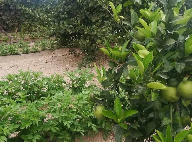 Casa Cueva Y Casita Rural El Perucho