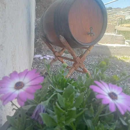 Hébergement de vacances Casa Cueva Y Casita Rural El Perucho Güimar