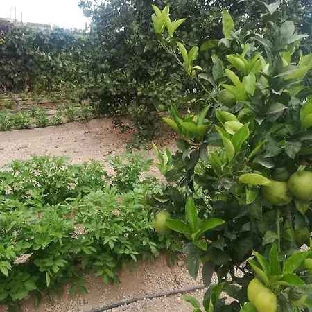 Casa Cueva Y Casita Rural El Perucho