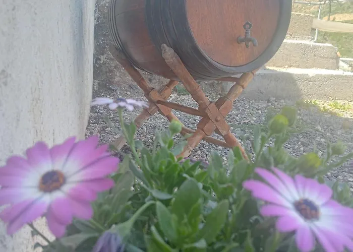 Holiday home Casa Cueva Y Casita Rural El Perucho Guimar